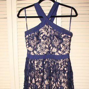 Francesca’s Navy Lace dress
